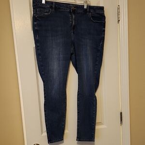 Lane Bryant Dark Blue Skinny Jeans